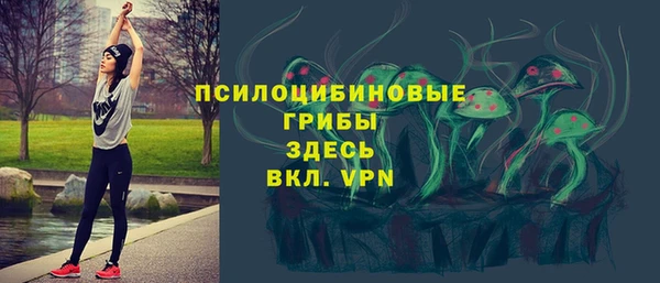 спиды Осташков