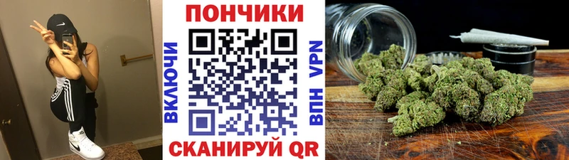 Канабис Amnesia Новотроицк